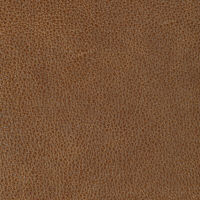 Kravet Design L-bison.pecan.0 Kravet Design Upholstery Fabric in L-bison-pecan/Brown