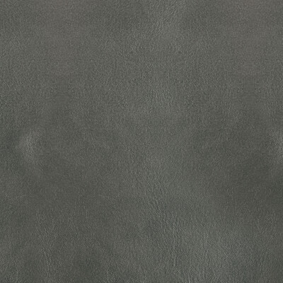 Kravet Design L-bota.coin.0 Kravet Design Upholstery Fabric in L-bota-coin/Grey/Metallic