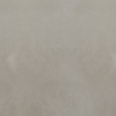 Kravet Design L-bota.silver.0 Kravet Design Upholstery Fabric in L-bota-silver/Silver/Grey