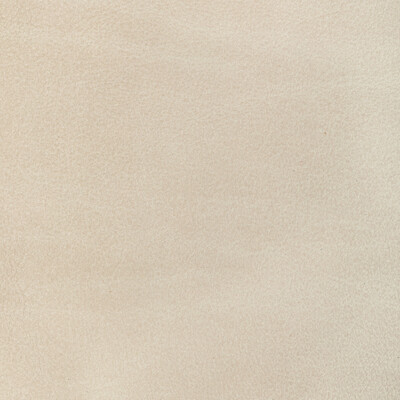 Kravet Design L-canter.bisque.0 Kravet Design Upholstery Fabric in L-canter-bisque/Light Grey/Khaki