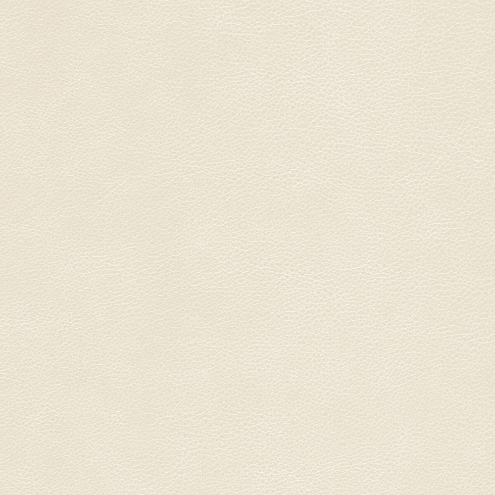 Kravet Design L-CIMARRON.CLOUD.0 Kravet Design Upholstery Fabric in L-cimarron-cloud/White/Mineral