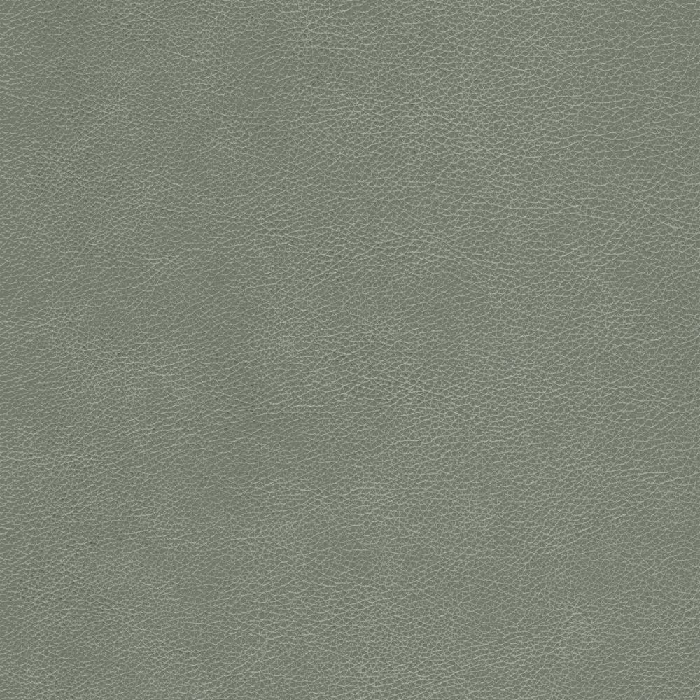Kravet Design L-CIMARRON.ELEPHANT.0 Kravet Design Upholstery Fabric in L-cimarron-elephant/Grey
