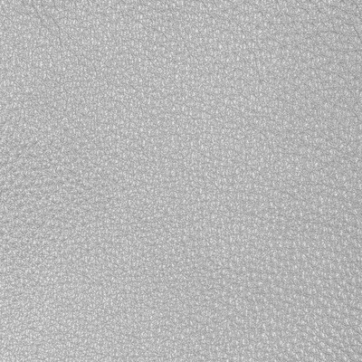 Kravet Design L-conchas.silver.0 Kravet Design Upholstery Fabric in L-conchas-silver/Silver/Light Grey