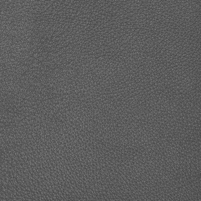 Kravet Design L-conchas.steel.0 Kravet Design Upholstery Fabric in L-conchas-steel/Charcoal/Grey