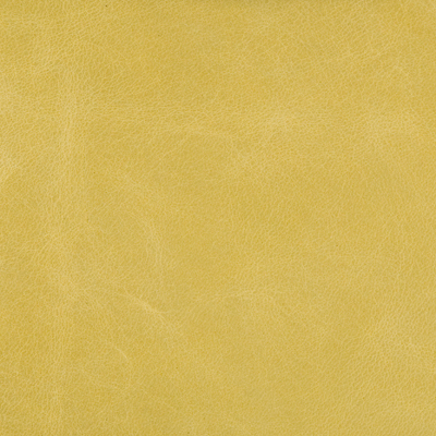 Kravet Couture L-COSMO.SULPHUR.0 Kravet Couture Upholstery Fabric in Yellow , Yellow , L-cosmo-sulphur