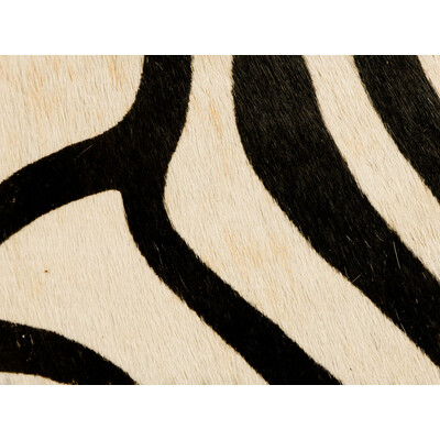 Kravet Couture L-COVETED.81.0 Painted Zebra Upholstery Fabric in  ,  , Natural