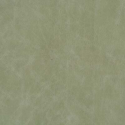 Kravet Design L-CUERO.EUCALYPTUS.0 Kravet Design Upholstery Fabric in Grey , Grey , L-cuero-eucalyptus
