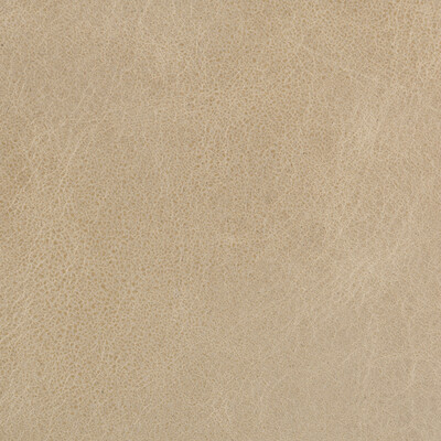 Kravet Couture L-DAVOS.OATMEAL.0 Kravet Couture Upholstery Fabric in Light Grey , Light Grey , L-davos-oatmeal