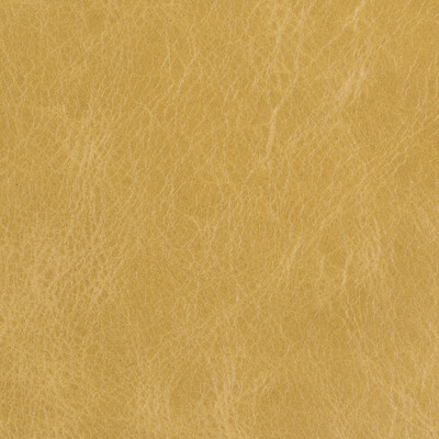 Kravet Couture L-DAVOS.SAP.0 Kravet Couture Upholstery Fabric in Wheat , Wheat , L-davos-sap