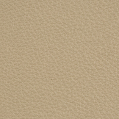 Kravet Design L-DELUXE.STONE.0 L-deluxe Upholstery Fabric in Grey , Beige , Stone