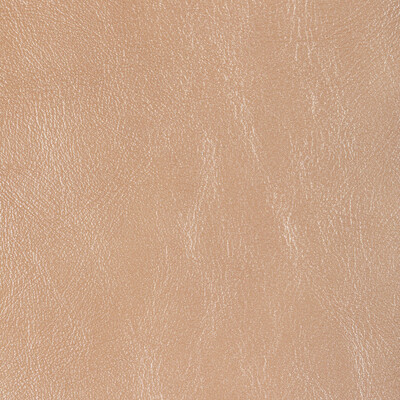 Kravet Design L-glisten.nude.0 L-glisten-nude Upholstery Fabric in Brown/Metallic