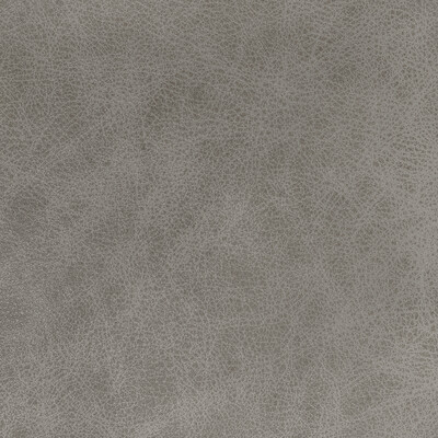 Kravet Design L-grange.pebble.0 Kravet Design Upholstery Fabric in L-grange-pebble/Grey/Light Grey