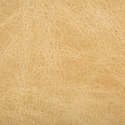 Kravet Couture L-HAUTE.BLONDE.0 Kravet Couture Upholstery Fabric in Yellow , Yellow , L-haute-blonde