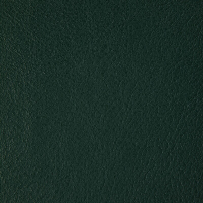 Kravet Design L-howdy.emerald.0 Kravet Design Upholstery Fabric in L-howdy-emerald/Green/Emerald