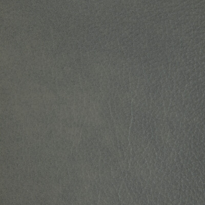 Kravet Design L-laramie.abalone.0 Kravet Design Upholstery Fabric in L-laramie-abalone/Grey/Light Grey