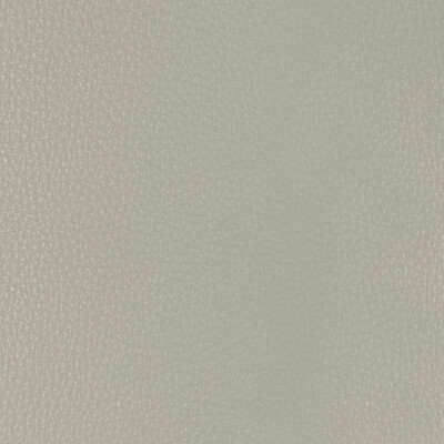 Kravet Design L-malpais.stone.0 Kravet Design Upholstery Fabric in L-malpais-stone/Light Grey/Grey