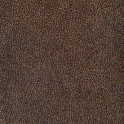 Kravet Design L-nambe.cocoa.0 Kravet Design Upholstery Fabric in L-nambe-cocoa/Chocolate/Brown