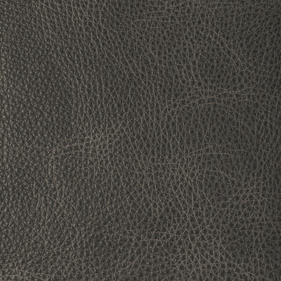 Kravet Design L-nambe.slate.0 Kravet Design Upholstery Fabric in L-nambe-slate/Charcoal/Grey