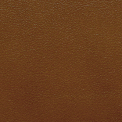 Kravet Design L-PORTOFIN.COGNAC.0 Kravet Design Upholstery Fabric in  ,  , L-portofin-cognac