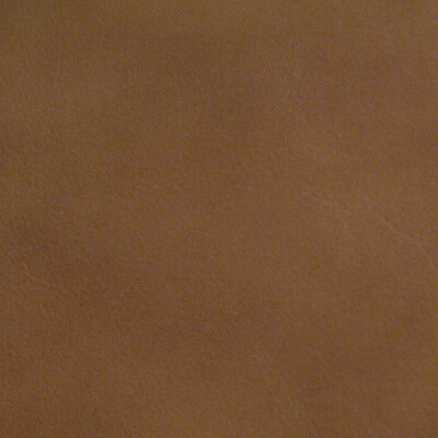 Kravet Design L-PORTOFIN.DESERT.0 Kravet Design Upholstery Fabric in  ,  , L-portofin-desert