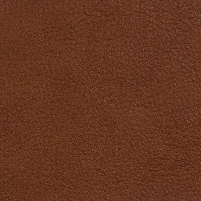 Kravet Design L-RANGE.COFFEE.0 L-range Upholstery Fabric in Brown , Brown , Coffee