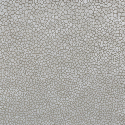 Kravet Couture L-SINAR.SILVER.0 L-sinar Upholstery Fabric in Grey , Grey , Silver