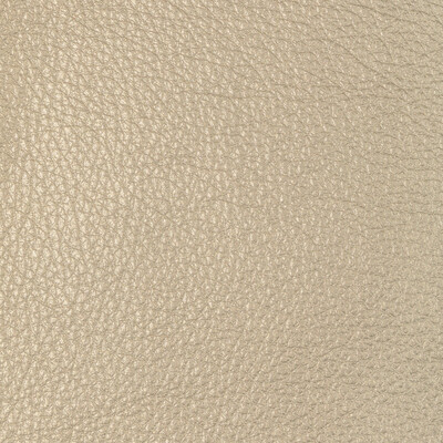 Kravet Design L-sugarite.taupe.0 Kravet Design Upholstery Fabric in L-sugarite-taupe/Taupe/Gold