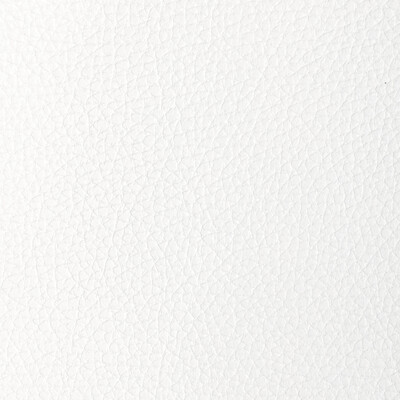 Kravet Design L-tucum.cloud.0 Kravet Design Upholstery Fabric in L-tucum-cloud/White