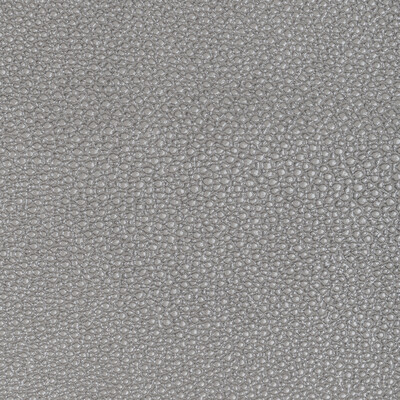 Kravet Design L-whit.grey.0 Kravet Design Upholstery Fabric in L-whit-grey/Grey/Silver