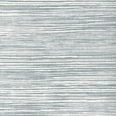 Kravet Basics LANDLINES.1101.0 Landlines Multipurpose Fabric in Graphite/Grey/White