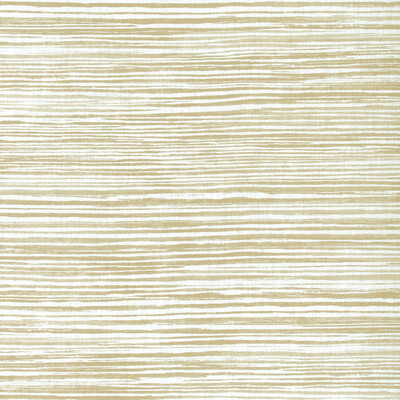 Kravet Basics LANDLINES.161.0 Landlines Multipurpose Fabric in Tan/Beige/White