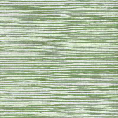 Kravet Basics LANDLINES.30.0 Landlines Multipurpose Fabric in Grass/Sage/White
