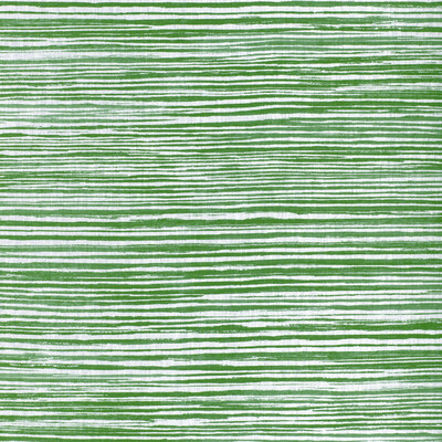 Kravet Basics LANDLINES.53.0 Landlines Multipurpose Fabric in Emerald/Green/White