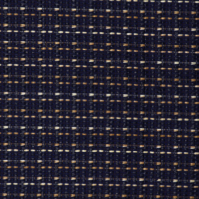 Gaston Y Daniela LCT1002.005.0 Mauregato Upholstery Fabric in Navy/Dark Blue/Indigo
