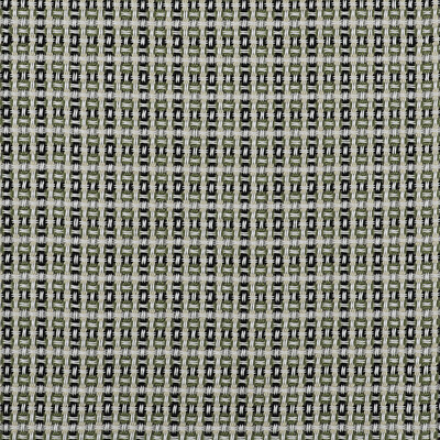 Gaston Y Daniela LCT1006.003.0 Kf Gyd:: Drapery Fabric in Light Green/Ivory/Black