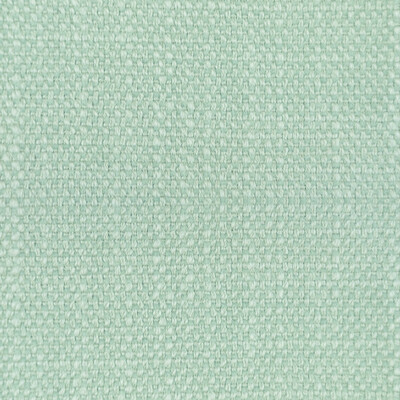 Gaston Y Daniela LCT1053.014.0 Hugo Upholstery Fabric in Verde Agua/Green