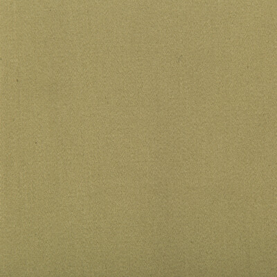 Gaston Y Daniela LCT5480.008.0 Manzanares Upholstery Fabric in Kaki/Khaki/Olive Green