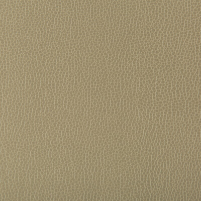 Kravet Contract LENOX.130.0 Lenox Upholstery Fabric in Light Green , Light Green , Elm