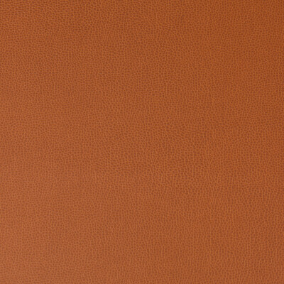 Kravet Contract LENOX.24.0 Lenox Upholstery Fabric in Rust , Rust , Canyon