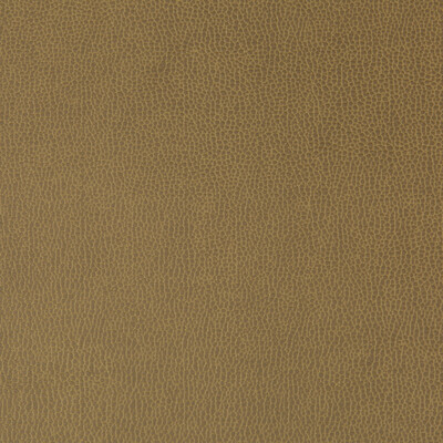 Kravet Contract LENOX.3106.0 Lenox Upholstery Fabric in Khaki , Khaki , Sparrow