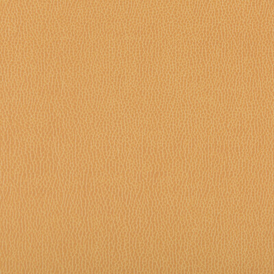 Kravet Contract LENOX.4.0 Lenox Upholstery Fabric in Camel , Camel , Camel