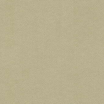 Kravet Design LITESTAR.116.0 Litestar Upholstery Fabric in Beige ,  , Sand