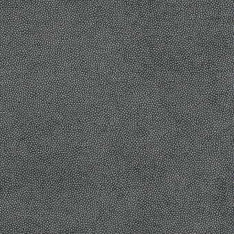 Kravet Design LITESTAR.21.0 Litestar Upholstery Fabric in Grey ,  , Iron