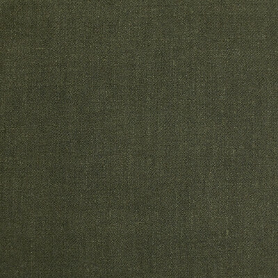 Kravet Design LZ-30335.13.0 Albert Drapery Fabric in Green , Olive Green