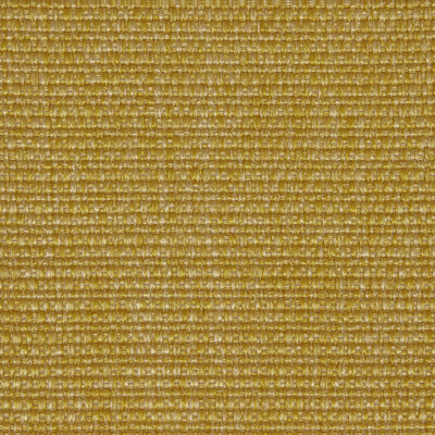 Kravet Design LZ-30346.05.0 Camelia Upholstery Fabric in Yellow