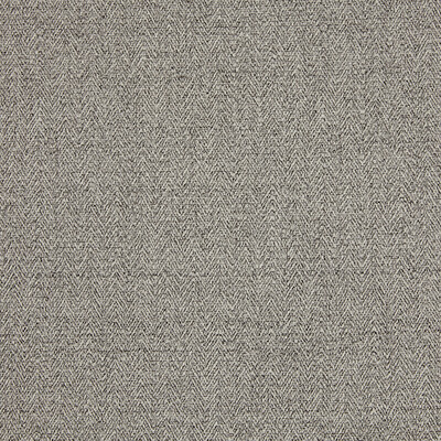 Kravet Design LZ-30363.09.0 Brummell Multipurpose Fabric in Silver/Black