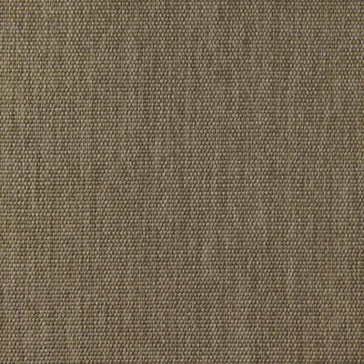 Kravet Design Lz-30398.01.0 Blanes Upholstery Fabric in 1/Taupe/Beige