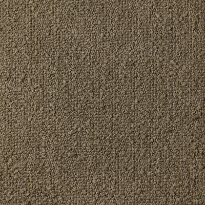 Kravet Design Lz-30399.01.0 Calella Upholstery Fabric in 1/Taupe
