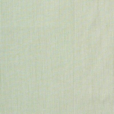 Parkertex M7671.720.0 Pinstripe Multipurpose Fabric in Light Green/White