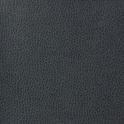Kravet Basics MATTER.52.0 Kravet Basics Upholstery Fabric in Charcoal , Charcoal , Matter-52